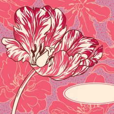 Romantic Tulip