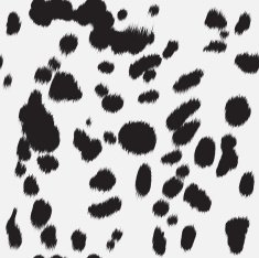dalmatian skin