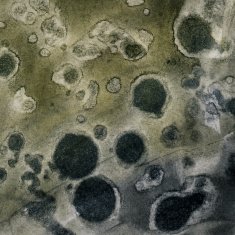 Dark green and black spotted grungy background