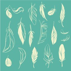Feathers set