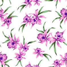 pattern of Cattleya N2