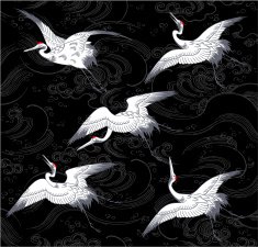 japanese crane N2