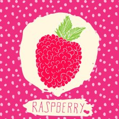 Raspberry hand drawn sketched fruit with leaf on background N2