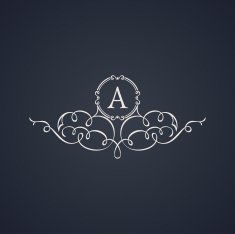Vintage luxury emblem Elegant Calligraphic vector logo N4