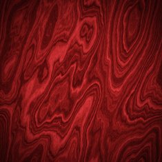 Texture of wood background closeup N2