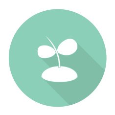 Plant N11