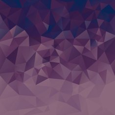 Polygon Vector Background N5