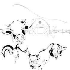 cow sheep goat pig farm