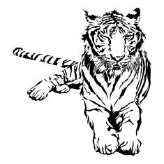 Tiger sitting