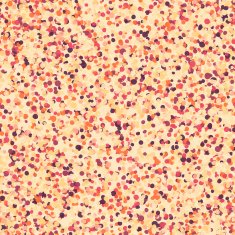 Seamless Confetti