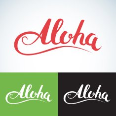 Aloha word vintage style Summer apparel print design t-shirt graphics