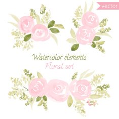 set of watercolor roses flowers and leaf