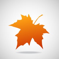 Silhouette of the maple leaf Canadian symbol Vector illustration