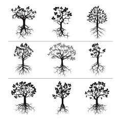Set of Black Trees and Roots