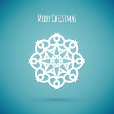 Snowflake N11