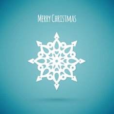 Snowflake N12