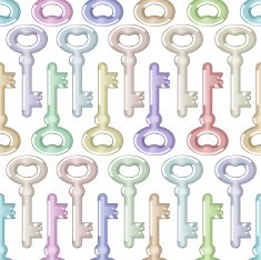 set of metal keys pattern N2