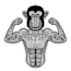 Zentangle stylized strong Monkey like Bodybuilder