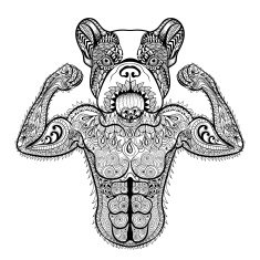 Zentangle stylized strong French Bulldog like bodybuilder N2
