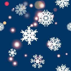 Snowflake Pattern vector texture Christmas and new year concept N42