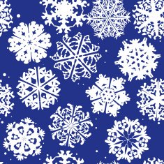 Snowflake Pattern vector texture Christmas and new year concept N49