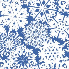 Snowflake Pattern vector texture Christmas and new year concept N53