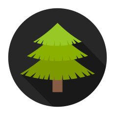 christmas tree N155