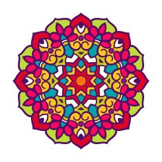 Vector mandala ornament N8