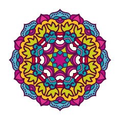 Vector mandala ornament N10