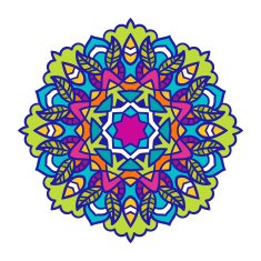 Vector mandala ornament N11