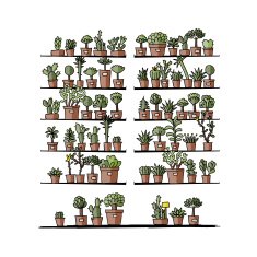 Shelves with plants in pots sketch for your design N2