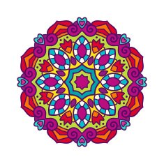 Vector mandala ornament N17