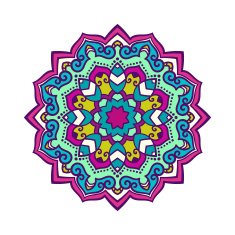Vector mandala ornament N23