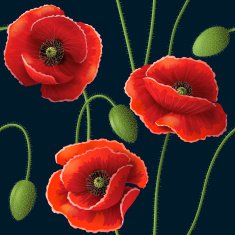Poppy pattern on dark