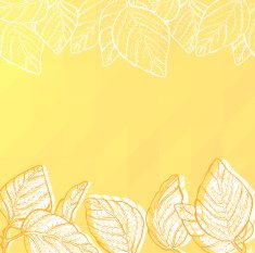 Triangle background with leaves N2