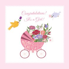 Babay Shower Greetings N2