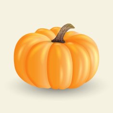 Pumpkin N20