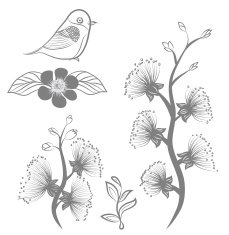 Hand drawn fower and bird