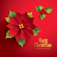 Merry Christmas! Happy New Year N2