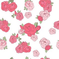 Pink rose on the white background N2