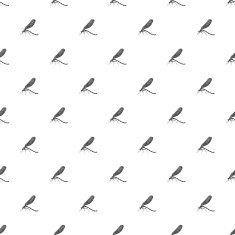 Dragonfly vector pattern