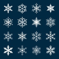 Collection of White Snowflakes N2