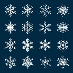 Collection of White Snowflakes N3