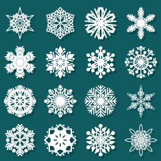 Snowflake N20