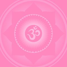 chakra vector illustration mandala N3