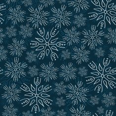 White and blue snowflakes on background seamless pattern N4
