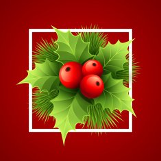 Vector Christmas holly with berries illustration N4