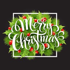 Christmas decoration on chalk board Vector illustration N6