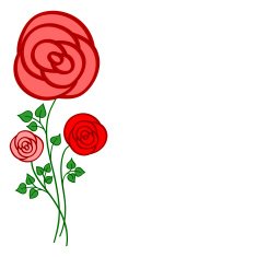 red roses on a white background N3