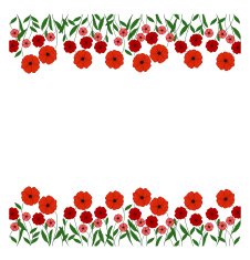 red poppies vector illustration